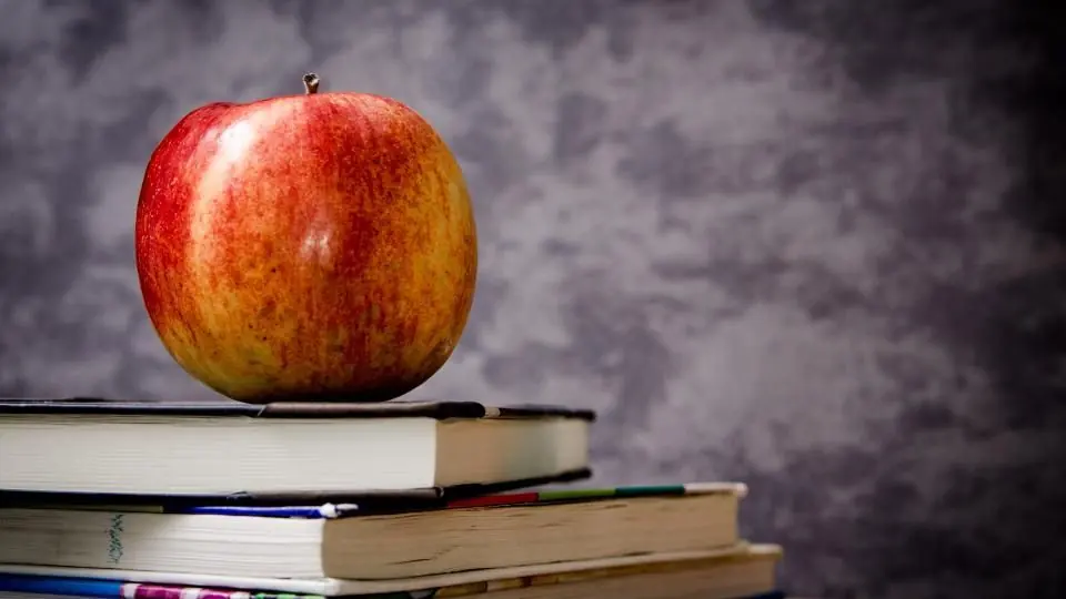 University fees frozen for another year