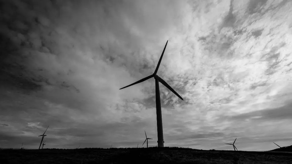 Smart meters help cut peak demand